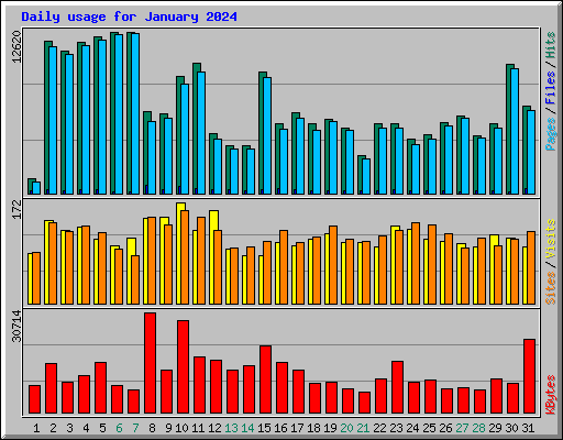 Daily usage for January 2024