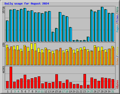 Daily usage for August 2024