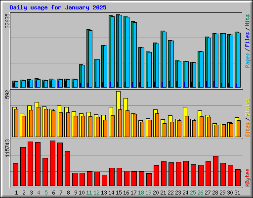 Daily usage for January 2025