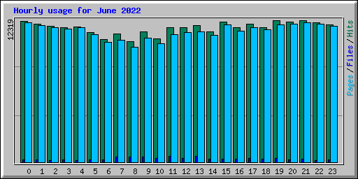 Hourly usage for June 2022