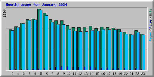 Hourly usage for January 2024