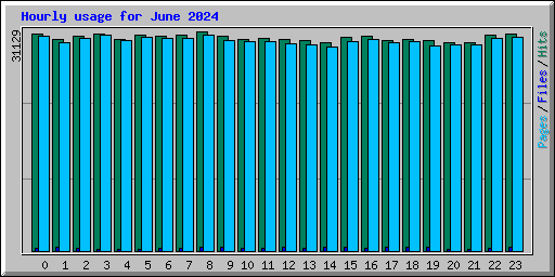 Hourly usage for June 2024