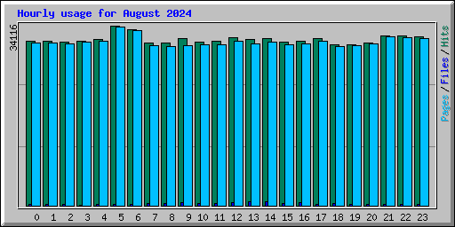 Hourly usage for August 2024