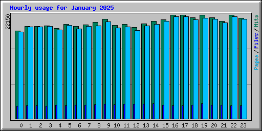 Hourly usage for January 2025