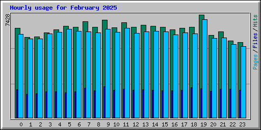 Hourly usage for February 2025