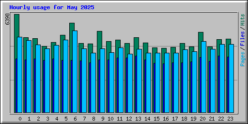 Hourly usage for May 2025