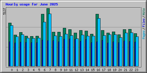 Hourly usage for June 2025