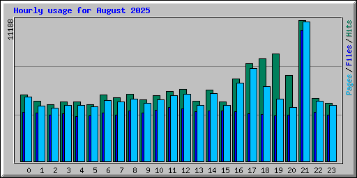 Hourly usage for August 2025